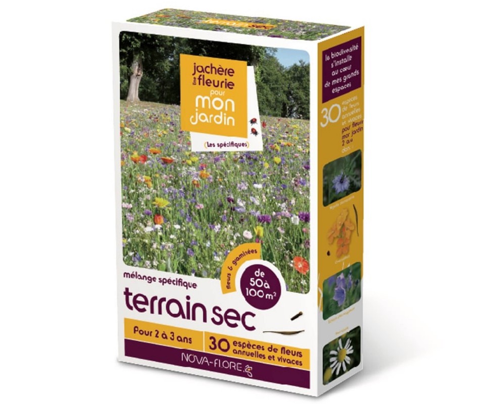 jachere-terrain-sec